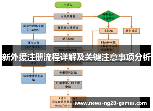 新外援注册流程详解及关键注意事项分析