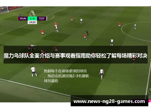 魔力鸟球队全面介绍与赛事观看指南助你轻松了解每场精彩对决