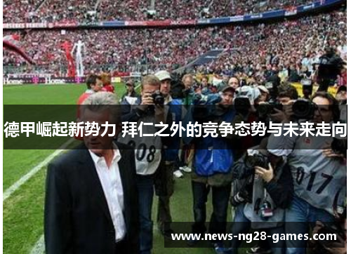 德甲崛起新势力 拜仁之外的竞争态势与未来走向