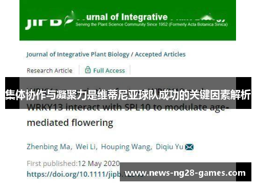 集体协作与凝聚力是维蒂尼亚球队成功的关键因素解析